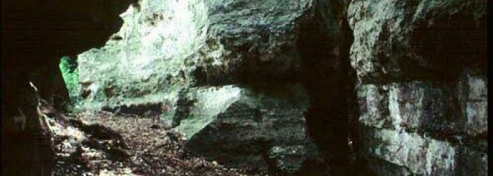 clinicas-dentales-banolas-7